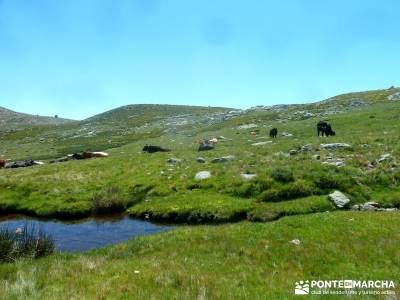 El Morezón - Sierra de Gredos; puente de la constitucion; viajes semana santa;senderismo a medida